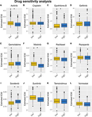 Epigenetic dysregulated long non-coding RNAs in renal cell carcinoma based on multi-omics data and their influence on target drugs sensibility